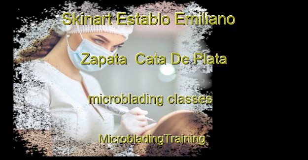 Skinart Establo Emiliano Zapata  Cata De Plata microblading classes | #MicrobladingTraining #MicrobladingClasses #SkinartTraining-Mexico