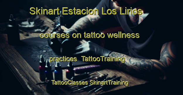 Skinart Estacion Los Lirios courses on tattoo wellness practices | #TattooTraining #TattooClasses #SkinartTraining-Mexico