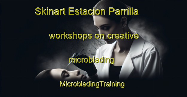 Skinart Estacion Parrilla workshops on creative microblading | #MicrobladingTraining #MicrobladingClasses #SkinartTraining-Mexico