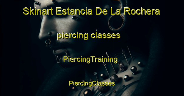 Skinart Estancia De La Rochera piercing classes | #PiercingTraining #PiercingClasses #SkinartTraining-Mexico