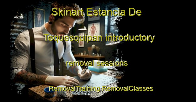 Skinart Estancia De Tequesquipan introductory removal sessions | #RemovalTraining #RemovalClasses #SkinartTraining-Mexico