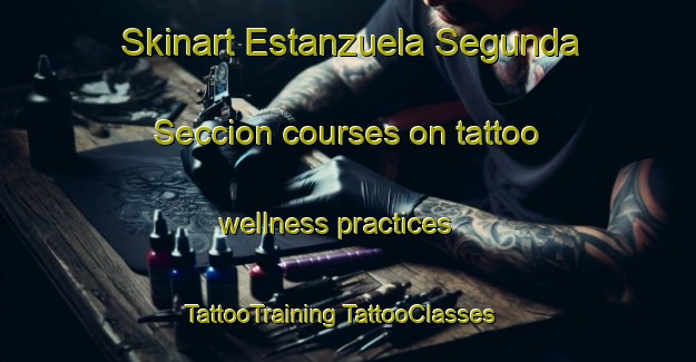 Skinart Estanzuela Segunda Seccion courses on tattoo wellness practices | #TattooTraining #TattooClasses #SkinartTraining-Mexico