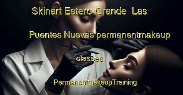 Skinart Estero Grande  Las Puentes Nuevas permanentmakeup classes | #PermanentmakeupTraining #PermanentmakeupClasses #SkinartTraining-Mexico