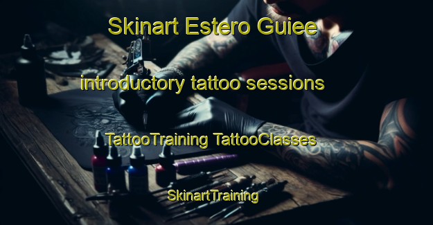 Skinart Estero Guiee introductory tattoo sessions | #TattooTraining #TattooClasses #SkinartTraining-Mexico