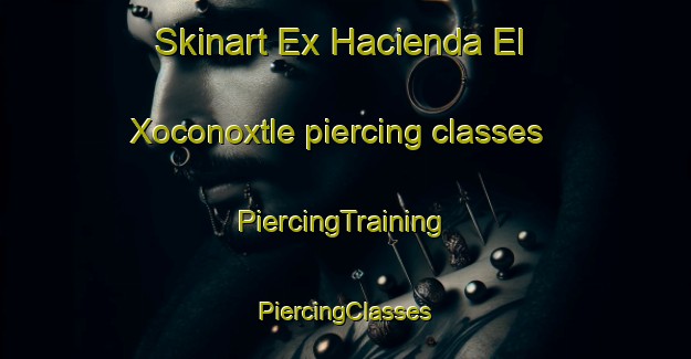 Skinart Ex Hacienda El Xoconoxtle piercing classes | #PiercingTraining #PiercingClasses #SkinartTraining-Mexico