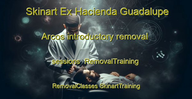 Skinart Ex Hacienda Guadalupe Arcos introductory removal sessions | #RemovalTraining #RemovalClasses #SkinartTraining-Mexico