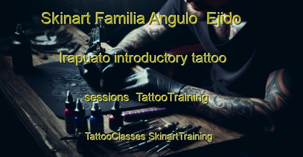 Skinart Familia Angulo  Ejido Irapuato introductory tattoo sessions | #TattooTraining #TattooClasses #SkinartTraining-Mexico