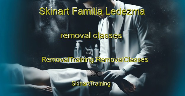 Skinart Familia Ledezma removal classes | #RemovalTraining #RemovalClasses #SkinartTraining-Mexico