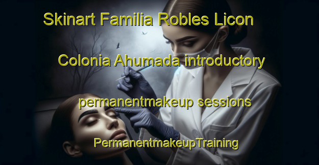 Skinart Familia Robles Licon  Colonia Ahumada introductory permanentmakeup sessions | #PermanentmakeupTraining #PermanentmakeupClasses #SkinartTraining-Mexico