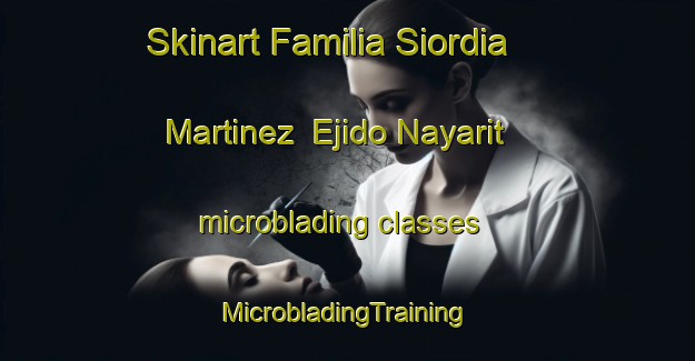 Skinart Familia Siordia Martinez  Ejido Nayarit microblading classes | #MicrobladingTraining #MicrobladingClasses #SkinartTraining-Mexico