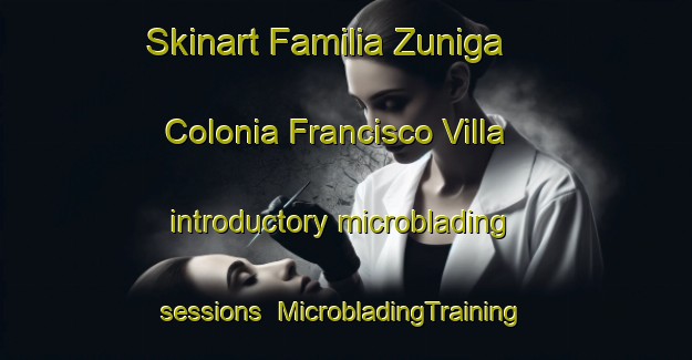 Skinart Familia Zuniga  Colonia Francisco Villa introductory microblading sessions | #MicrobladingTraining #MicrobladingClasses #SkinartTraining-Mexico