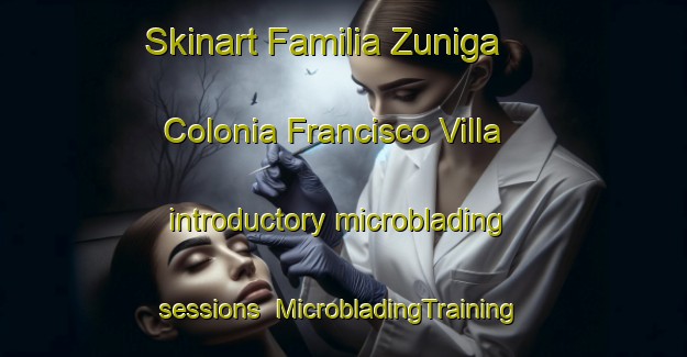 Skinart Familia Zuniga  Colonia Francisco Villa introductory microblading sessions | #MicrobladingTraining #MicrobladingClasses #SkinartTraining-Mexico