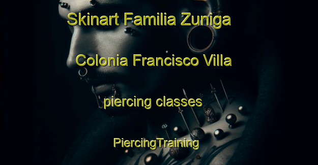 Skinart Familia Zuniga  Colonia Francisco Villa piercing classes | #PiercingTraining #PiercingClasses #SkinartTraining-Mexico