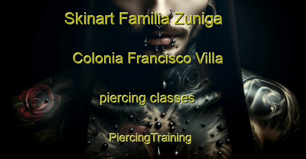 Skinart Familia Zuniga  Colonia Francisco Villa piercing classes | #PiercingTraining #PiercingClasses #SkinartTraining-Mexico