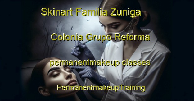 Skinart Familia Zuniga  Colonia Grupo Reforma permanentmakeup classes | #PermanentmakeupTraining #PermanentmakeupClasses #SkinartTraining-Mexico