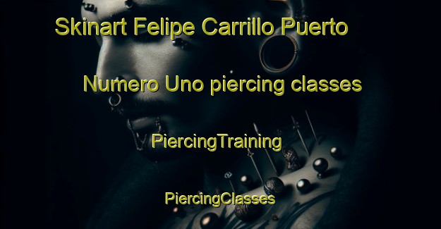 Skinart Felipe Carrillo Puerto Numero Uno piercing classes | #PiercingTraining #PiercingClasses #SkinartTraining-Mexico