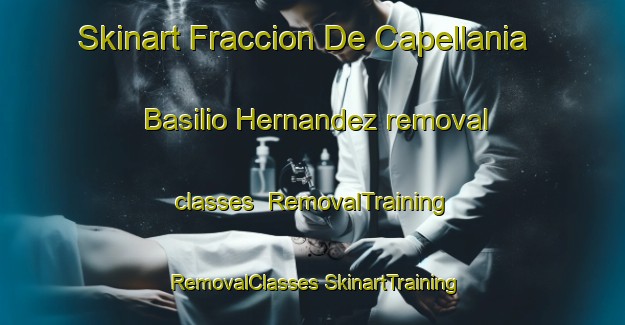 Skinart Fraccion De Capellania  Basilio Hernandez removal classes | #RemovalTraining #RemovalClasses #SkinartTraining-Mexico