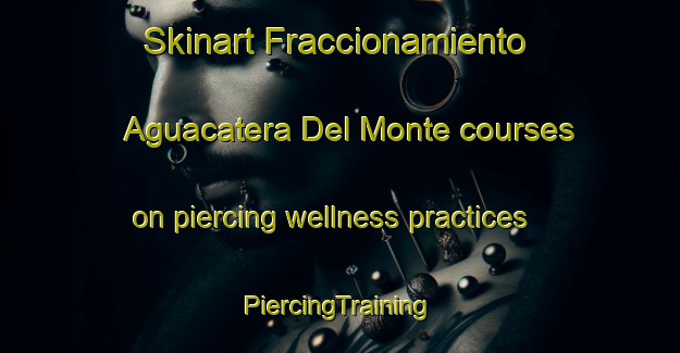 Skinart Fraccionamiento Aguacatera Del Monte courses on piercing wellness practices | #PiercingTraining #PiercingClasses #SkinartTraining-Mexico