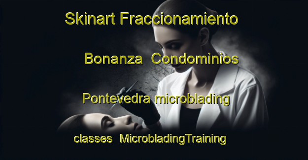 Skinart Fraccionamiento Bonanza  Condominios Pontevedra microblading classes | #MicrobladingTraining #MicrobladingClasses #SkinartTraining-Mexico