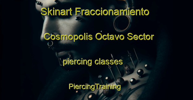 Skinart Fraccionamiento Cosmopolis Octavo Sector piercing classes | #PiercingTraining #PiercingClasses #SkinartTraining-Mexico