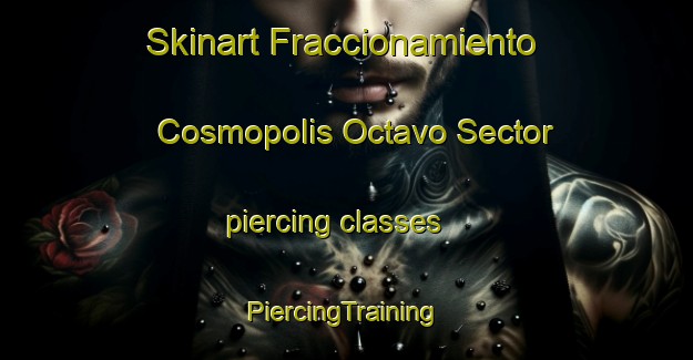 Skinart Fraccionamiento Cosmopolis Octavo Sector piercing classes | #PiercingTraining #PiercingClasses #SkinartTraining-Mexico