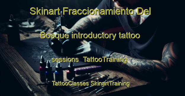 Skinart Fraccionamiento Del Bosque introductory tattoo sessions | #TattooTraining #TattooClasses #SkinartTraining-Mexico