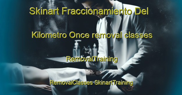 Skinart Fraccionamiento Del Kilometro Once removal classes | #RemovalTraining #RemovalClasses #SkinartTraining-Mexico