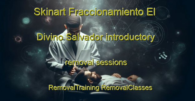 Skinart Fraccionamiento El Divino Salvador introductory removal sessions | #RemovalTraining #RemovalClasses #SkinartTraining-Mexico