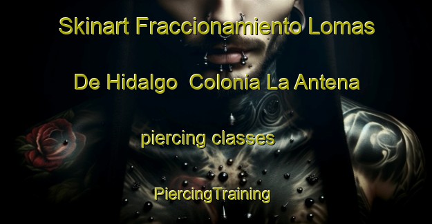 Skinart Fraccionamiento Lomas De Hidalgo  Colonia La Antena piercing classes | #PiercingTraining #PiercingClasses #SkinartTraining-Mexico