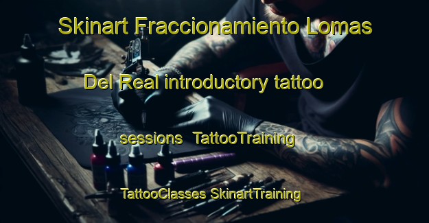 Skinart Fraccionamiento Lomas Del Real introductory tattoo sessions | #TattooTraining #TattooClasses #SkinartTraining-Mexico