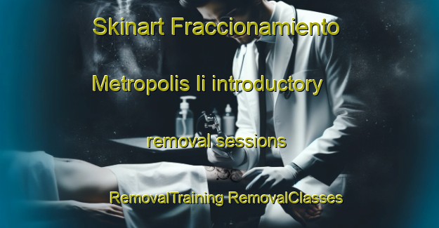 Skinart Fraccionamiento Metropolis Ii introductory removal sessions | #RemovalTraining #RemovalClasses #SkinartTraining-Mexico