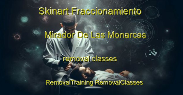 Skinart Fraccionamiento Mirador De Las Monarcas removal classes | #RemovalTraining #RemovalClasses #SkinartTraining-Mexico