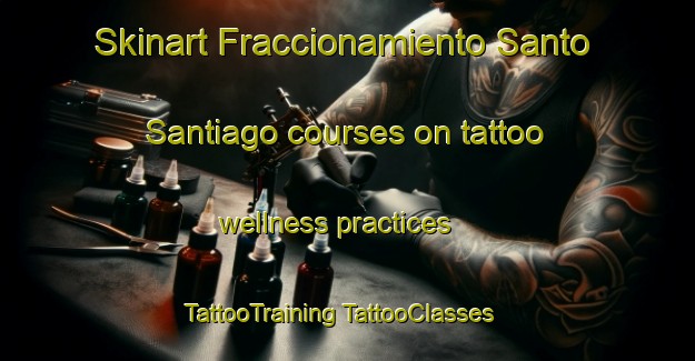 Skinart Fraccionamiento Santo Santiago courses on tattoo wellness practices | #TattooTraining #TattooClasses #SkinartTraining-Mexico