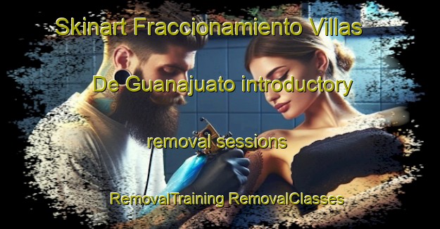 Skinart Fraccionamiento Villas De Guanajuato introductory removal sessions | #RemovalTraining #RemovalClasses #SkinartTraining-Mexico