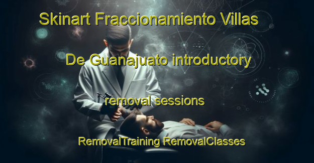 Skinart Fraccionamiento Villas De Guanajuato introductory removal sessions | #RemovalTraining #RemovalClasses #SkinartTraining-Mexico