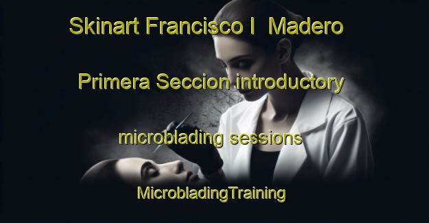 Skinart Francisco I  Madero Primera Seccion introductory microblading sessions | #MicrobladingTraining #MicrobladingClasses #SkinartTraining-Mexico