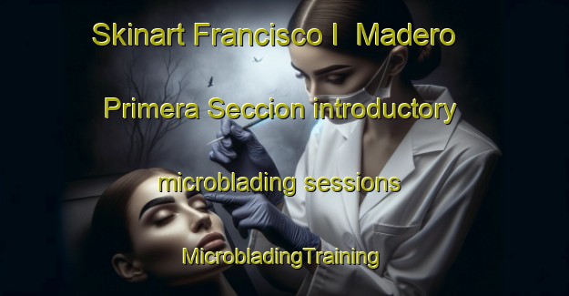 Skinart Francisco I  Madero Primera Seccion introductory microblading sessions | #MicrobladingTraining #MicrobladingClasses #SkinartTraining-Mexico