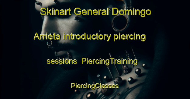 Skinart General Domingo Arrieta introductory piercing sessions | #PiercingTraining #PiercingClasses #SkinartTraining-Mexico