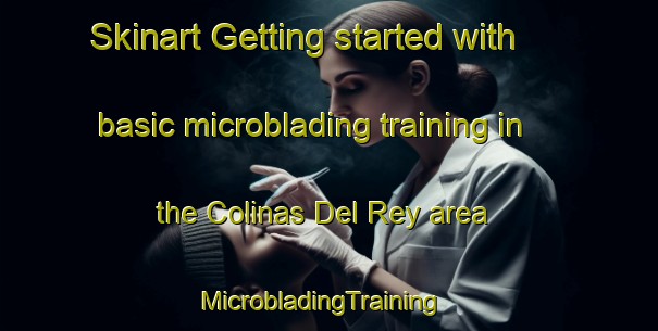 Skinart Getting started with basic microblading training in the Colinas Del Rey area | MicrobladingTraining | MicrobladingClasses | SkinartTraining-Mexico