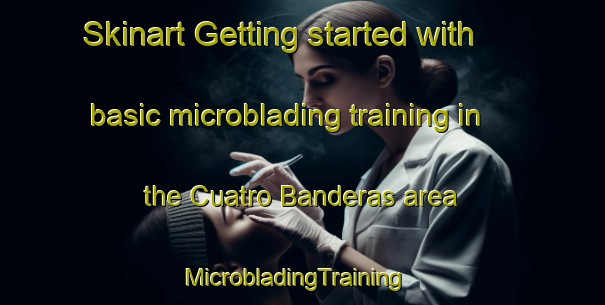 Skinart Getting started with basic microblading training in the Cuatro Banderas area | MicrobladingTraining | MicrobladingClasses | SkinartTraining-Mexico
