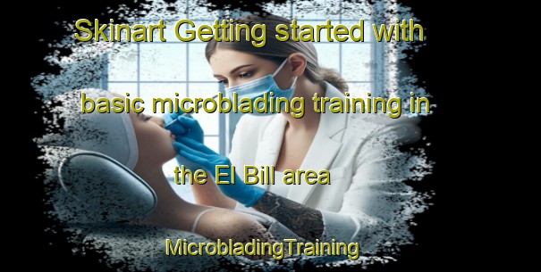 Skinart Getting started with basic microblading training in the El Bill area | MicrobladingTraining | MicrobladingClasses | SkinartTraining-Mexico