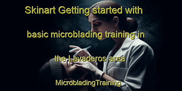 Skinart Getting started with basic microblading training in the Lavaderos area | MicrobladingTraining | MicrobladingClasses | SkinartTraining-Mexico