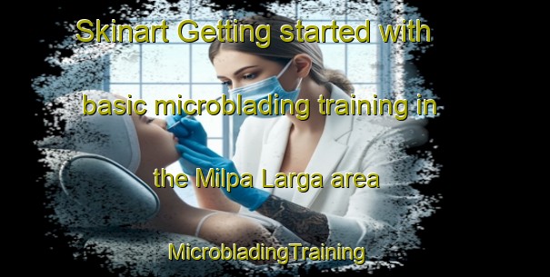 Skinart Getting started with basic microblading training in the Milpa Larga area | MicrobladingTraining | MicrobladingClasses | SkinartTraining-Mexico