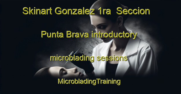 Skinart Gonzalez 1ra  Seccion  Punta Brava introductory microblading sessions | #MicrobladingTraining #MicrobladingClasses #SkinartTraining-Mexico