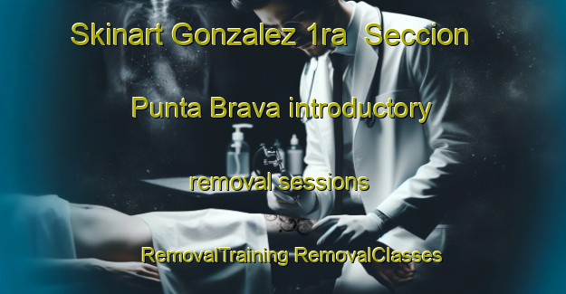 Skinart Gonzalez 1ra  Seccion  Punta Brava introductory removal sessions | #RemovalTraining #RemovalClasses #SkinartTraining-Mexico