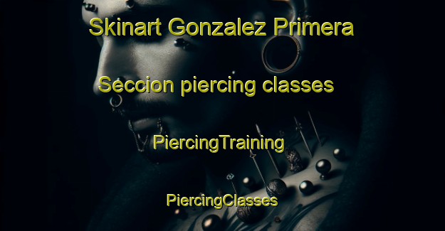 Skinart Gonzalez Primera Seccion piercing classes | #PiercingTraining #PiercingClasses #SkinartTraining-Mexico