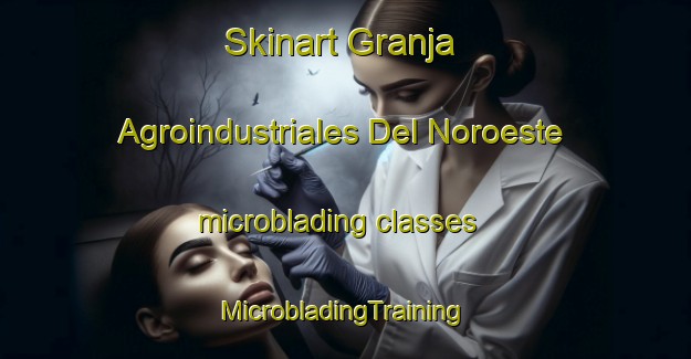 Skinart Granja Agroindustriales Del Noroeste microblading classes | #MicrobladingTraining #MicrobladingClasses #SkinartTraining-Mexico