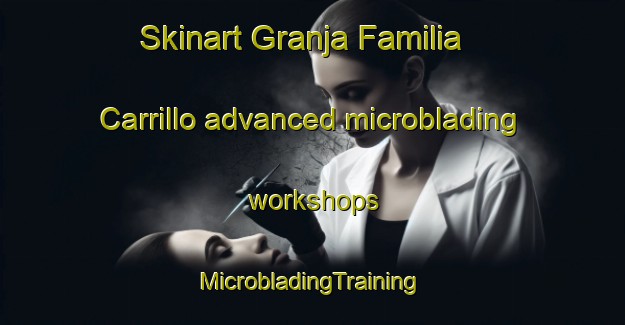 Skinart Granja Familia Carrillo advanced microblading workshops | #MicrobladingTraining #MicrobladingClasses #SkinartTraining-Mexico