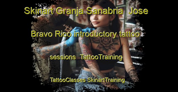 Skinart Granja Sanabria  Jose Bravo Rico introductory tattoo sessions | #TattooTraining #TattooClasses #SkinartTraining-Mexico