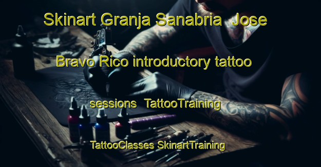 Skinart Granja Sanabria  Jose Bravo Rico introductory tattoo sessions | #TattooTraining #TattooClasses #SkinartTraining-Mexico